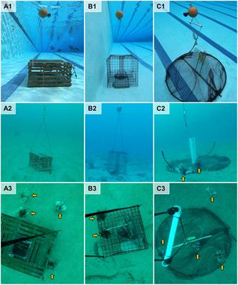 Three trap designs evaluated for a deepwater lionfish fishery